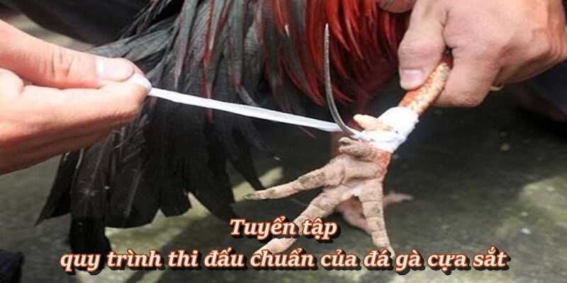 Tiêu chí phân định thắng thua trong từng trận Tiêu chí phân định thắng thua trong từng trận